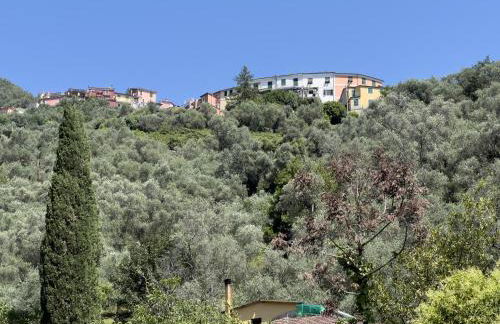 Anne-Britt Home - Foto 16