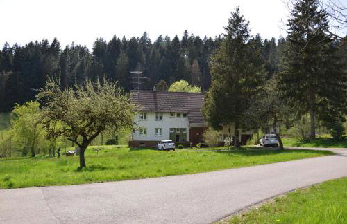 Ferienwohnung am Leinbach, nahe Freudenstadt - Photo 13
