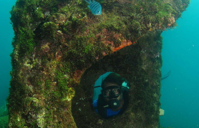 Beginners' Scuba Diving Lesson in Praia do Porto - Foto 6