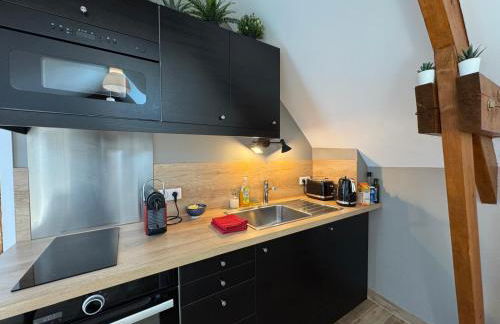 Le petit Mérinos - Rambouillet - - Foto 13