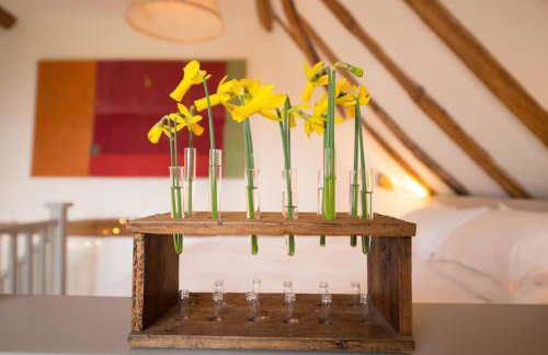 Deepwell Granary is a lovely thatched barn with attached meadow woodland - Foto 19