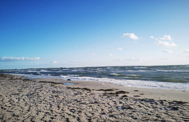 Simplistic Holiday Home in GÃ¸rlev near Sea - Photo 59