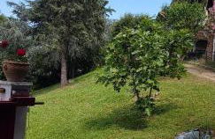 Appartement F2 tout confort **** - Foto 30