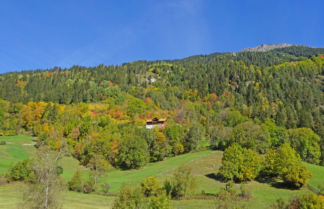 David am Buchhammerhof - Foto 20