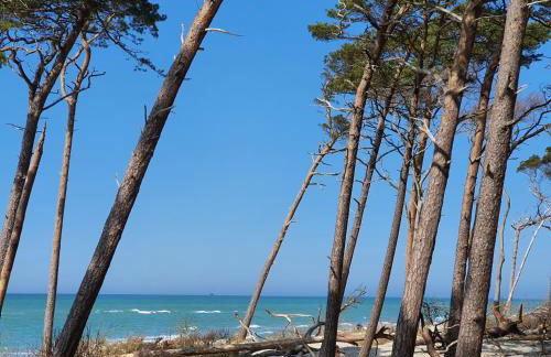 "Lotsenhaus" by Ferienhaus Strandgut - Foto 26