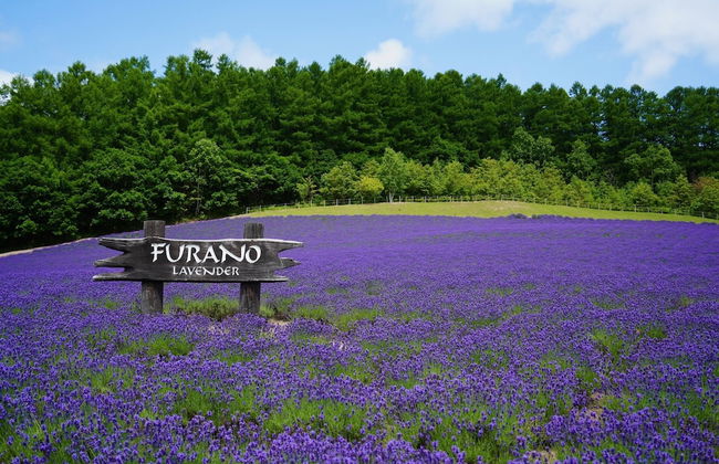 FuranoSky White - Foto 36