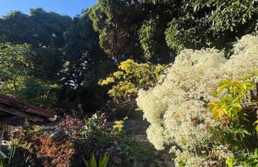 Casa de roça - Foto 36