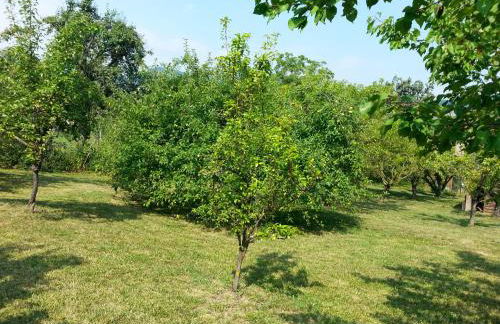 A fine 2 bedroom stone house in Emila - Photo 20