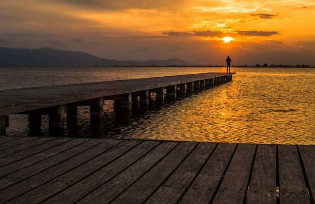 Observation de flamants roses dans le delta de l'Èbre au coucher du soleil - Photo 5