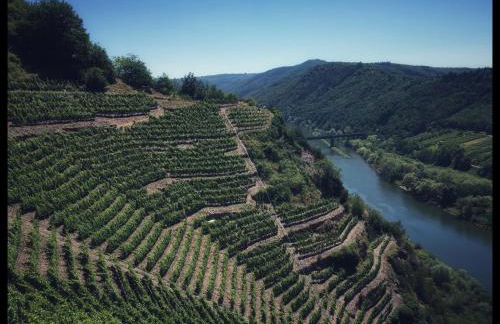 Gemütliches Apartment mit Moselblick - Foto 11