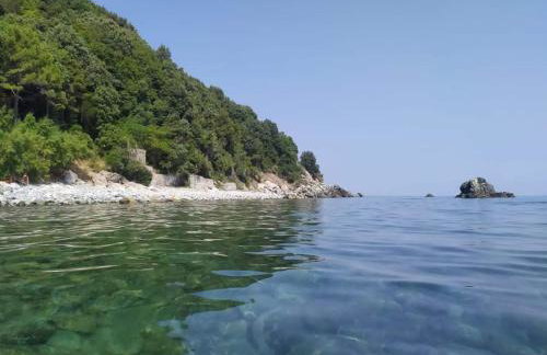 Βίλα Κατερίνα - Villa Katerina - Foto 30