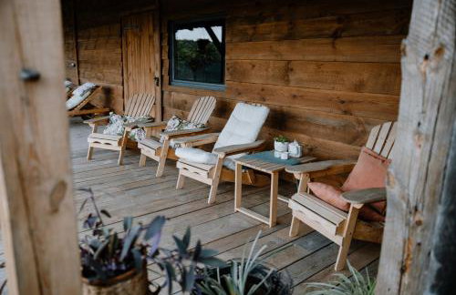 Agroturystyka u Marleny - Foto 48