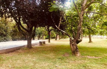 le gite des 3 saules - Foto 44