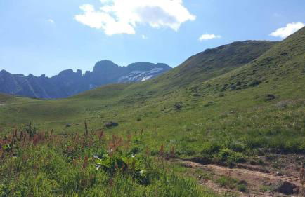 L Édelweiss et sa piscine - Foto 44