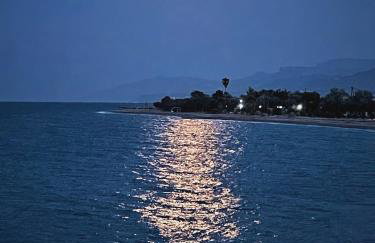 The Artist's Farm - Foto 59