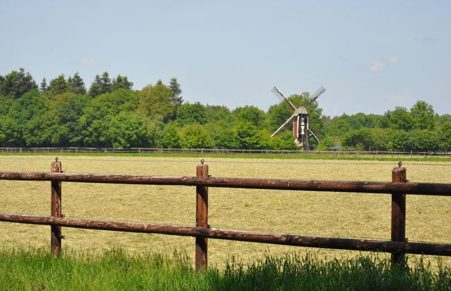 Cottage in Leenderbos Near Nature Reserve - Photo 21