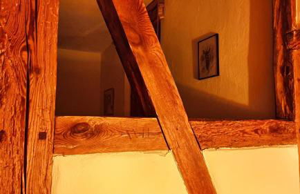 Forsthaus Großmenow - Foto 11