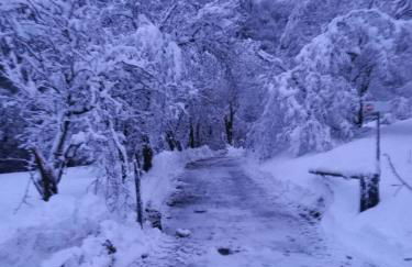 Lupus in fabula - Photo 27