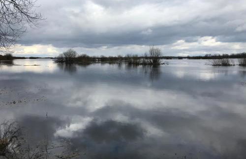 Sieburczynianka - Foto 43