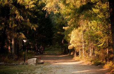 Tranquil Nature Retreat on 12 acres! - Foto 40