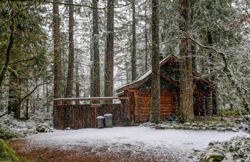 Zoe's Log Cabin - Foto 45