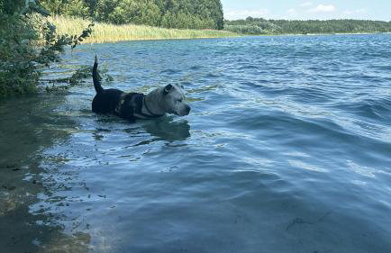 Wielkopolska Szydłówiec - Foto 20