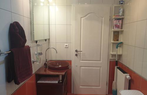 APARTMAN SOFIA - Foto 23
