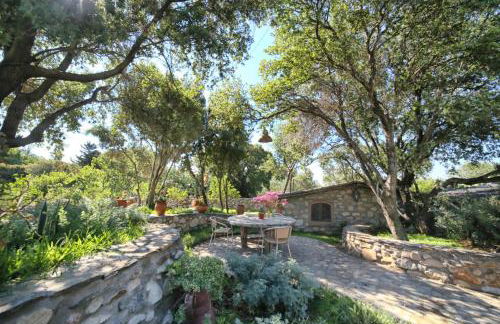 Captain Ikaros - Foto 50