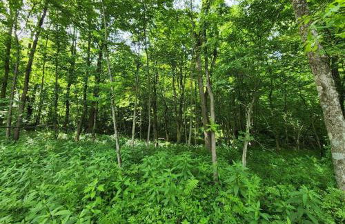 Bunny Bungalow Romantic Getaway in a Spacious Geodome - Foto 38