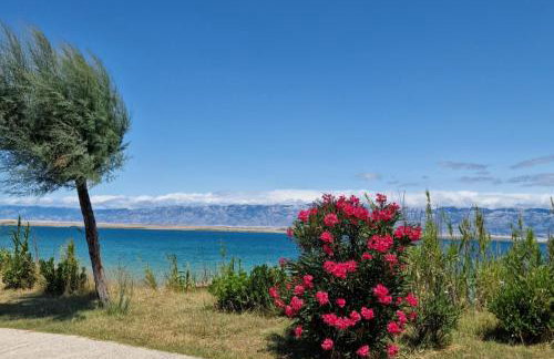 Villa Renata - Foto 10