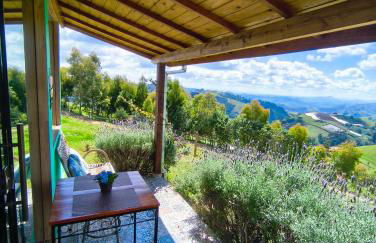 Chalé horizonte azul - Photo 50