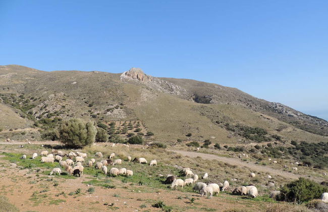 Tour en 4x4 por Kavusi, Skouros y Richtra - Foto 6