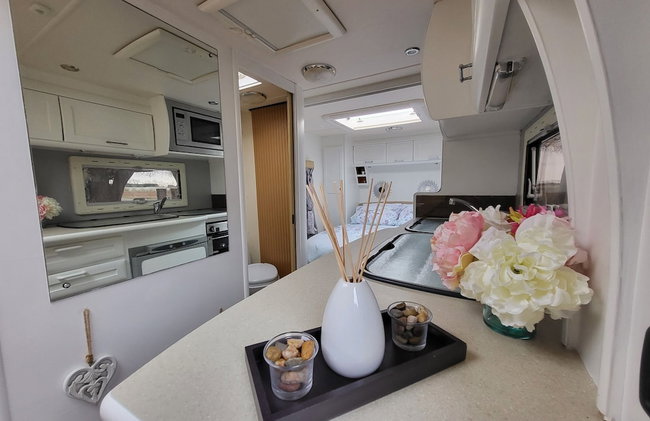 Glamping With Llamas - Photo 98