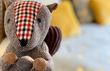 Ravissante maison à St Paul de Vence - Foto 18