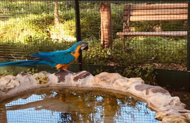 Agriturismo Silis - Foto 24