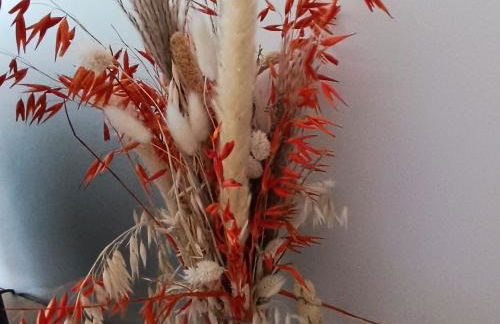 Gîte spacieux près du zoo de Beauval avec cour privative, terrasse, et équipements complets - FR-1-591-371 - Foto 9