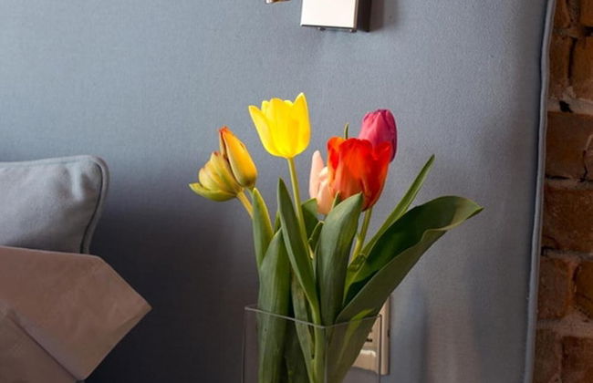 Cascina Marcantonio - Photo 25