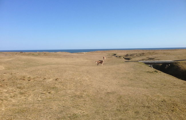 The Paddock - Foto 29