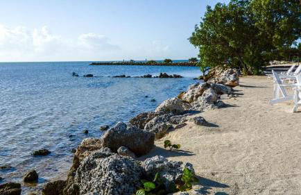 305 Kawama Tower - Foto 26