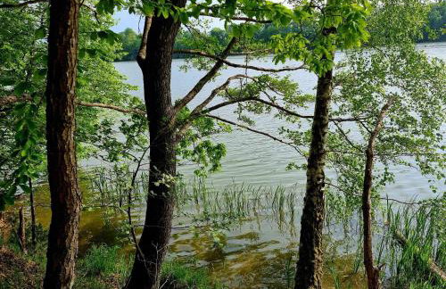 Domek de Janauis - Foto 40