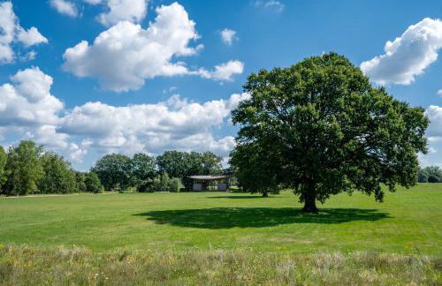 Apartamenty Miedź i Miód - Foto 40