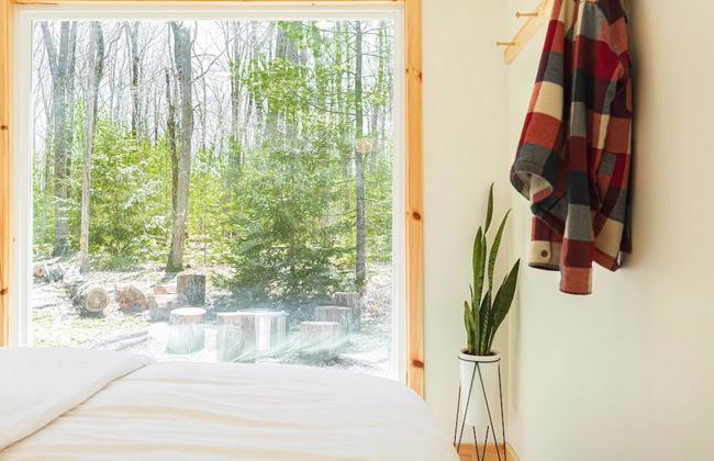 The Rex Hotel - Foto 55