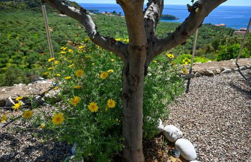 Athina's Stone House in Kardamyli - Foto 24