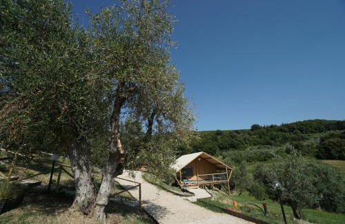 Podere Cortesi Agriturismo Molinaccio - Foto 78