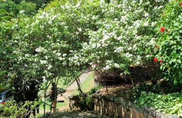 Sítio Canto a Canto - Foto 14