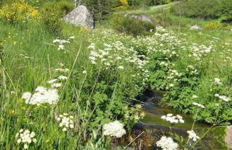 Lozère St Alban Aubrac Margeride gîte 4 étoiles 8 personnes au calme près nature - Foto 53