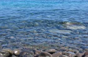 L'Agave, Salina - Foto 41