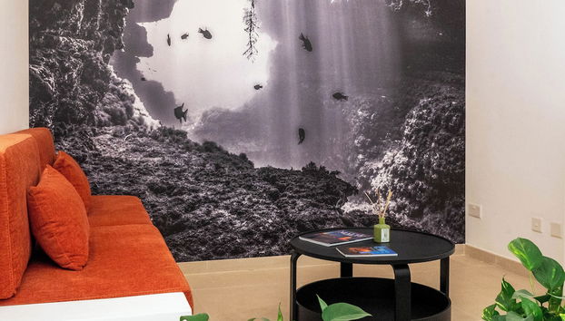 Entrada (vista interior)