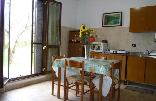 Tadinum Romana - Foto 27