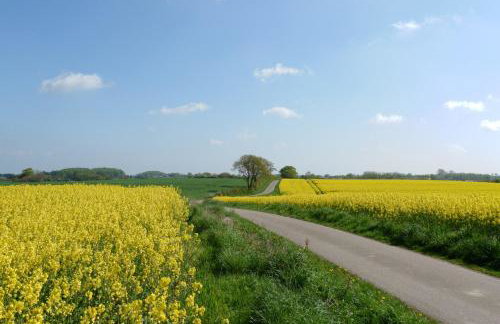 Appartement Reethus Koppelkiek - kompakt & gemütlich mit Terrasse - Foto 5